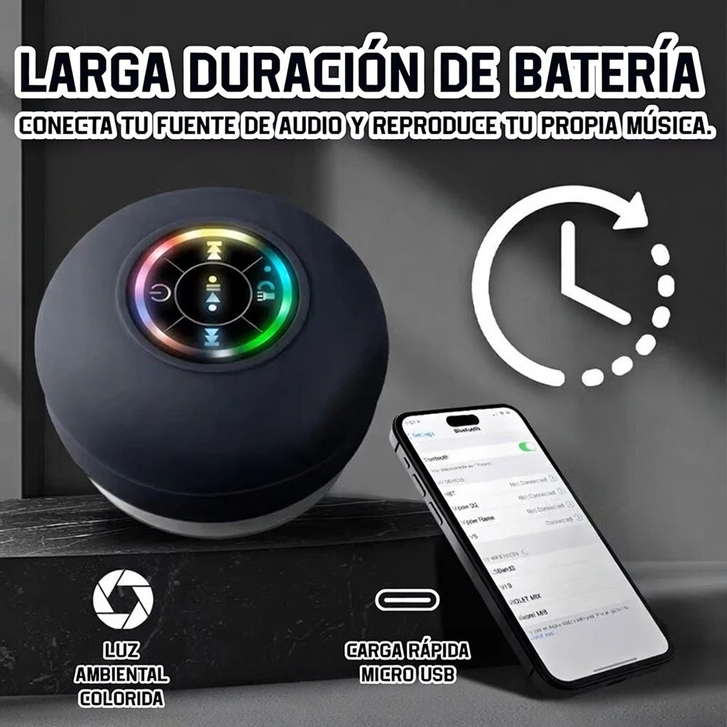 Altavoz de Pared Potente